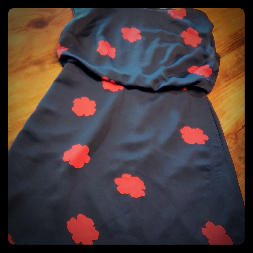 Banana Republic 2 Navy Red Dress Sleeveless A Line